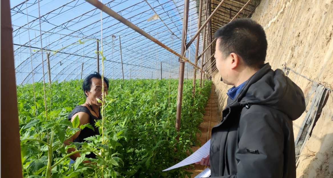 松山区农牧局开展设施农业安全生产排查筑牢产业发展安全防线