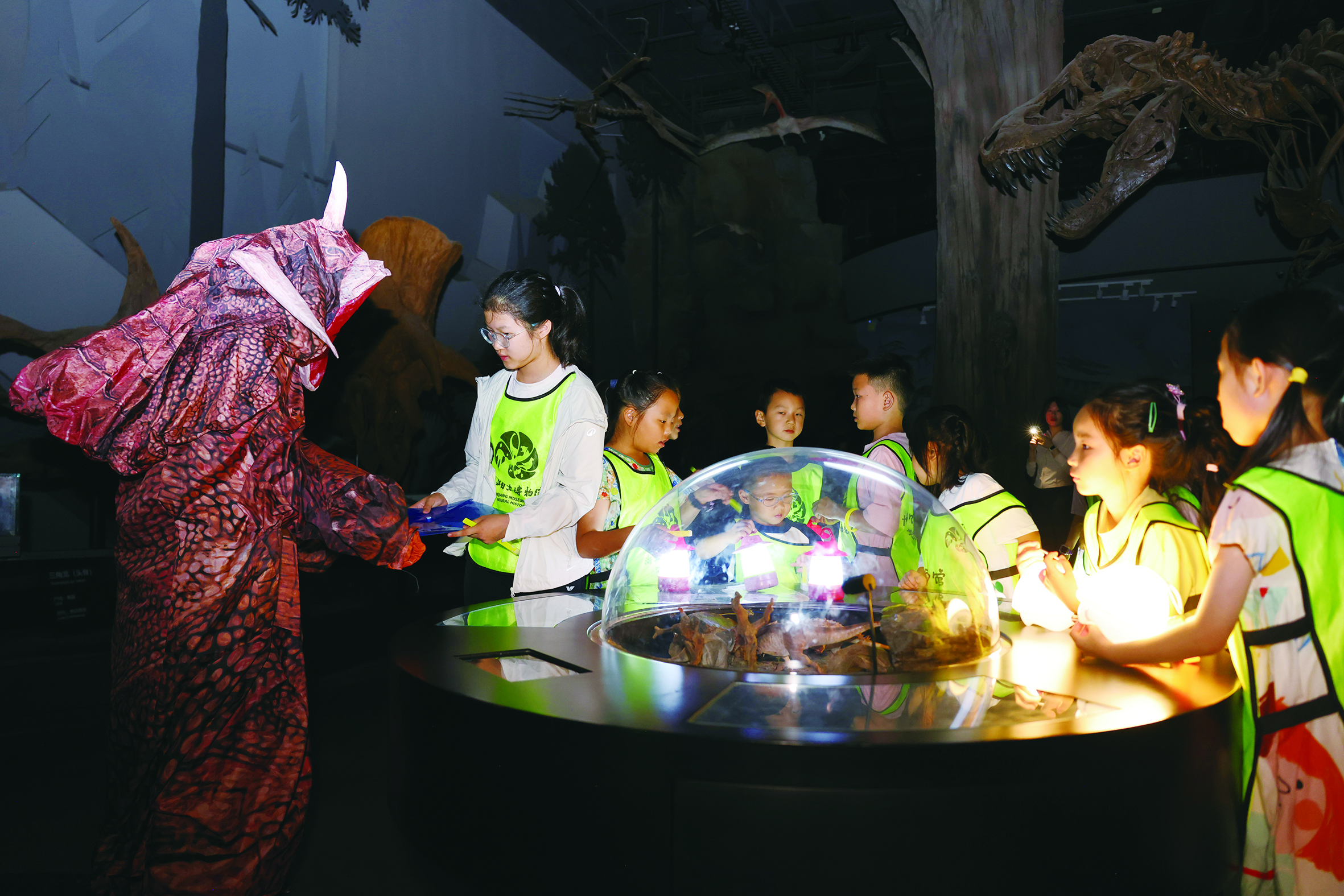在自然博物馆里 看见教育的“未来性”——浙江自然博物院青少年